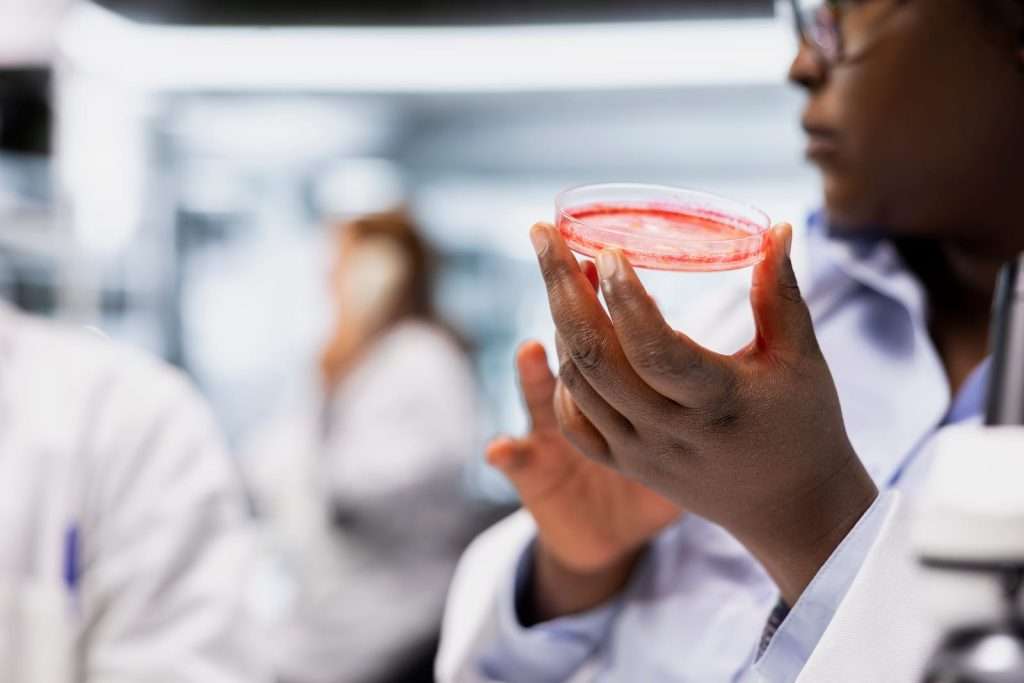 Laboratory technician examining mold cultures for mycotoxin testing and environmental mold exposure analysis.